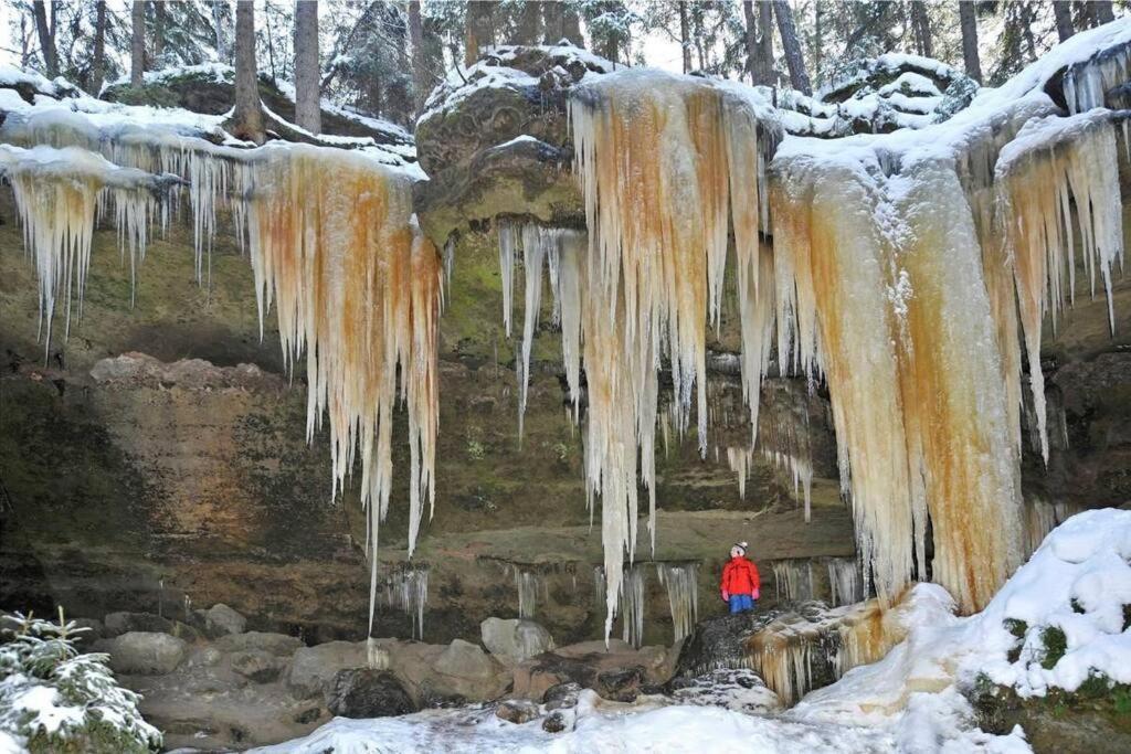 Brana Do Ceskeho Svycarska - Raj Cyklostezek Stare Krecany Exterior foto